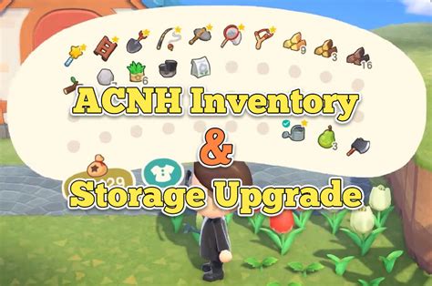 acnh all storage upgrades.